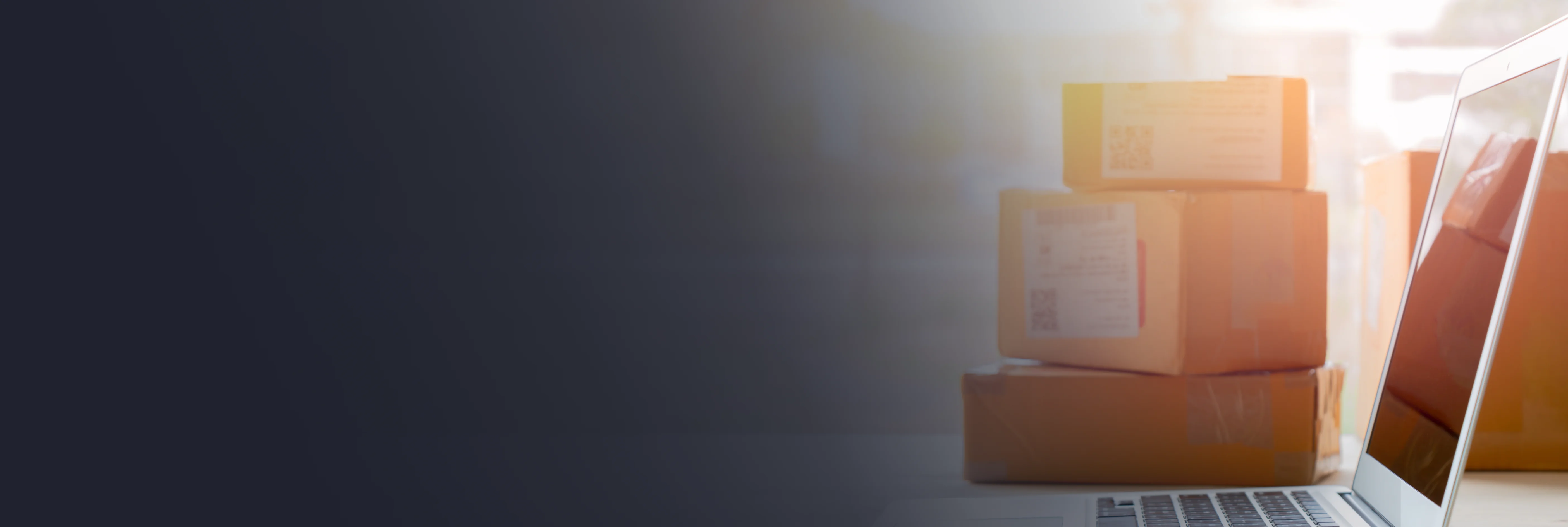 delhivery-website-2023