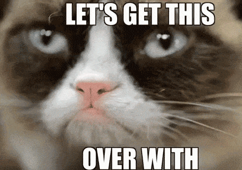 Taking Stock Challenge - Catfight GIF